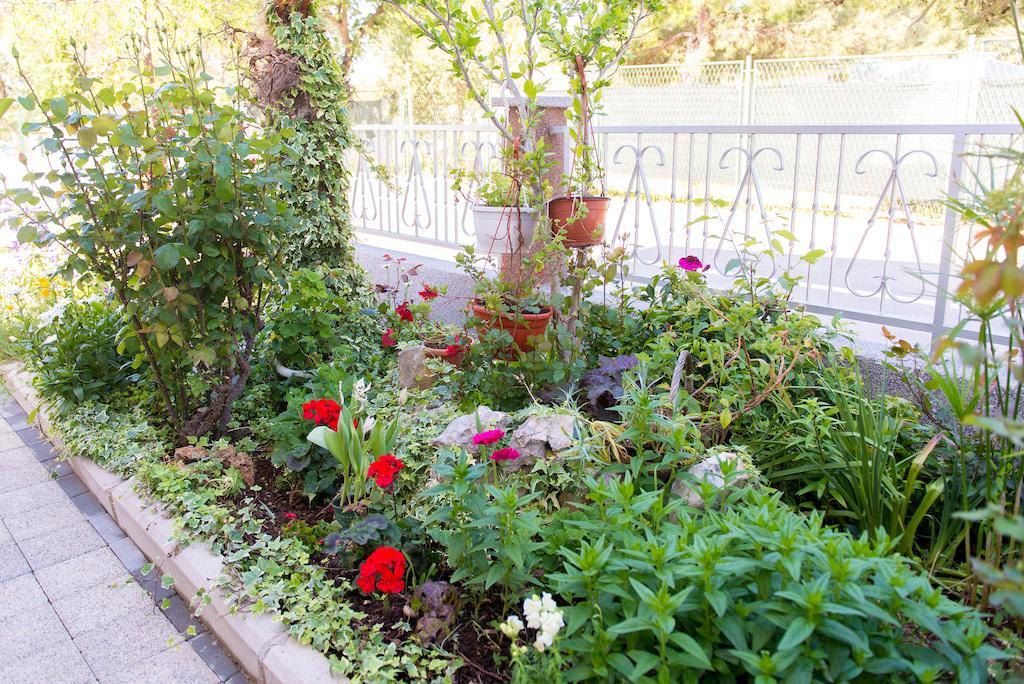 וודיצה Apartments Lovric מראה חיצוני תמונה